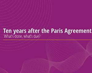 能源未来2025：巴黎协定十年后——已成之功与待办之务