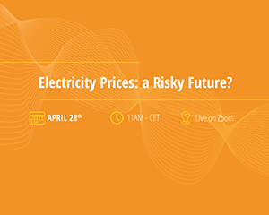 网络研讨会 - 电力价格