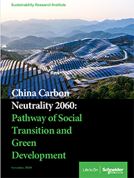 中国2060年碳中和
